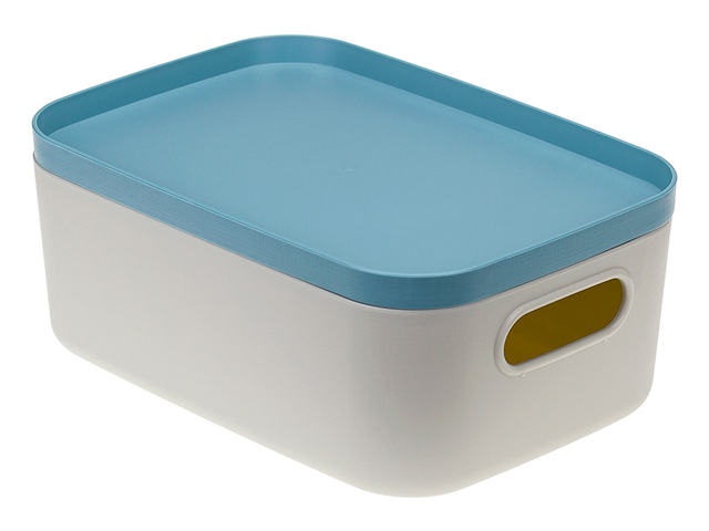 Ящик для хранения с крышкой ИНФИНИТИ 20х14х8,5 см (серо-голубой) (IDEA) Арт.М2345
