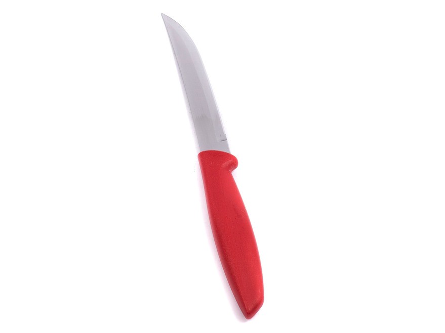 Нож металлический для фруктов/овощей ''plenus'' с пластмассовой ручкой 22/11 см (арт. 23431875) Арт.94645