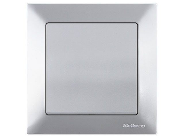 Выключатель 1-клав. двухполюсный (скрытый, винт. зажим) серебро, DARIA, MUTLUSAN (10 A, 250 V, IP 20) Арт.21204050282 - фото