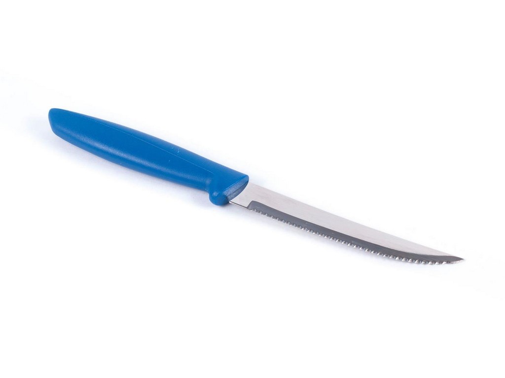 Нож металлический ''Plenus'' с пластмассовой ручкой 22 см  Арт. 80456