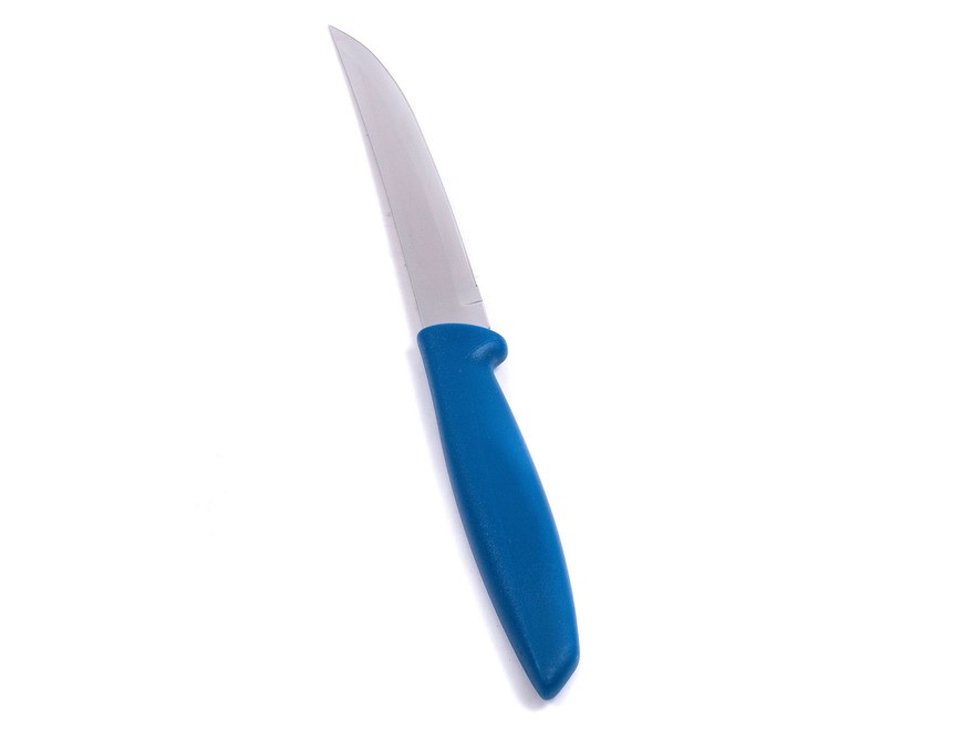 Нож металлический для фруктов/овощей ''plenus'' с пластмассовой ручкой 22/11 см (арт. 23431815) Арт.94643