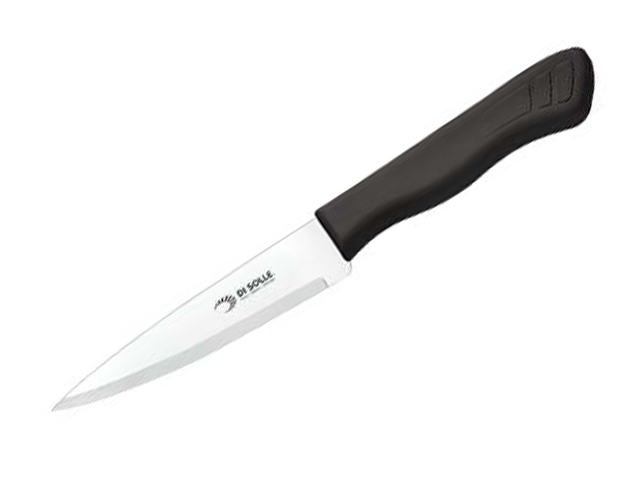 Нож кухонный 12.7 см, серия PARATY, DI SOLLE (Длина: 247 мм, длина лезвия: 127 мм, толщина: 1 мм. Прочная пластиковая ручка.) Арт.01.0117.16.04.000